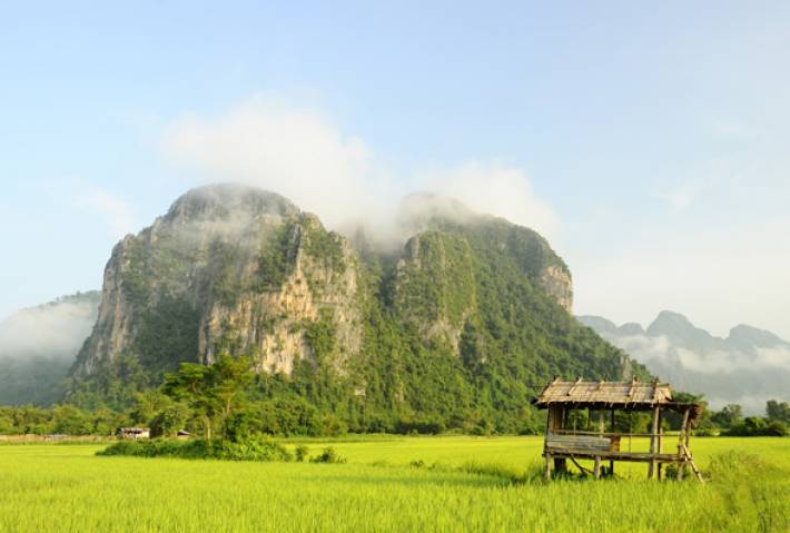Laos_dreamstime_rice paddy-mountains-Laos