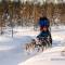 Husky sleigh ride | Lapland | Finland