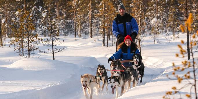 Husky sleigh ride | Lapland | Finland