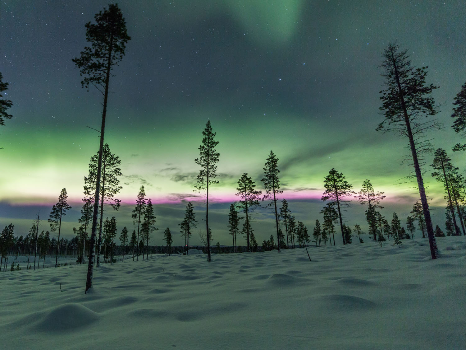 Day 4 - Rovaniemi