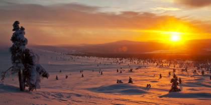 Lapland Landscape - Finland - On The Go Tours