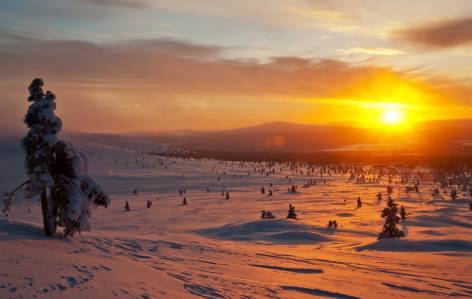 Lapland Landscape - Finland - On The Go Tours