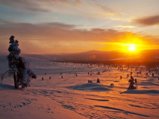 rovaniemi