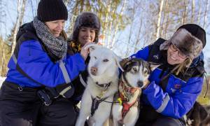 Lapland and Husky Highlgihts