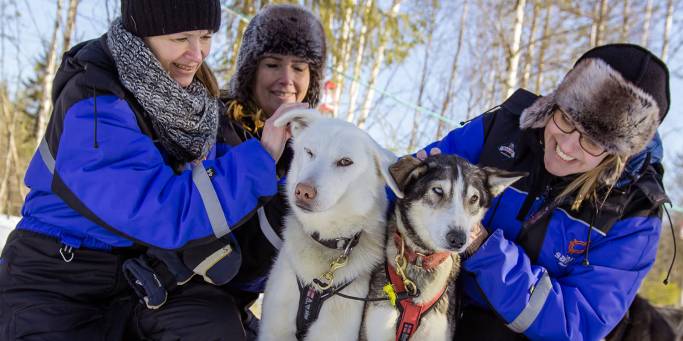 A group with a husky | Lapland | Finland