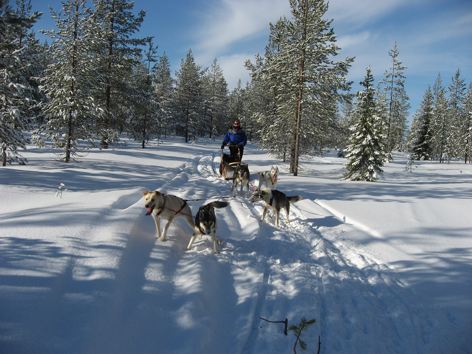 Day 3 - Malangen