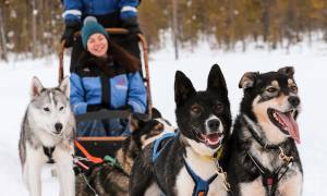 Lapland and the Arctic Circle