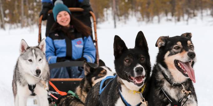 A woman on a husky sleigh ride | Lapland | Finland