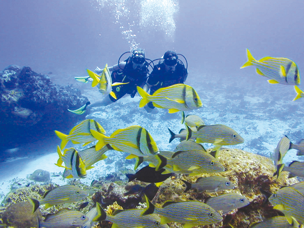 Days 9-10 - Hurghada