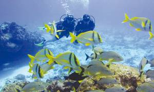 Learn-To-Dive-Ex-Sharm-Itinerary-Main-Red-Sea-Diving-Egypt