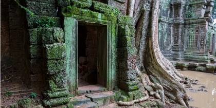 Left hand menu image - Ta Prohm doorway