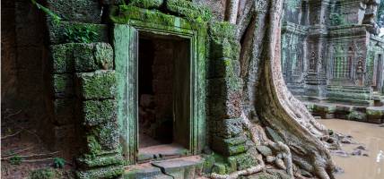 Left hand menu image - Ta Prohm doorway