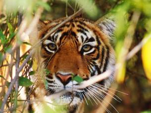 Legend-of-the-Rajputs-Itinerary-2-Regional-Tours-India