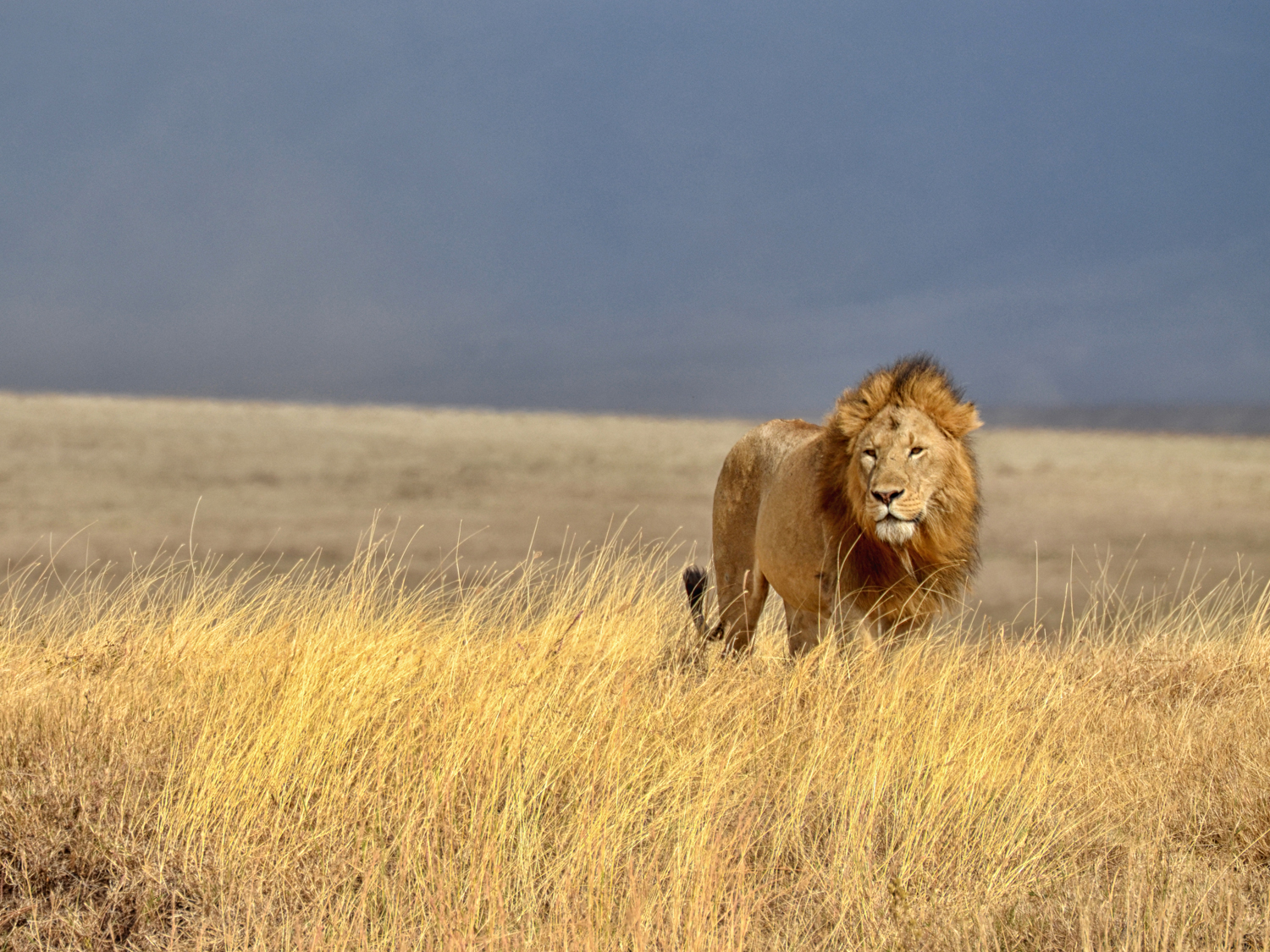 Day 5 - Serengeti National Park