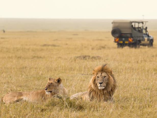 Masai Mara tribespeople standing in a row wearing colourful clothes