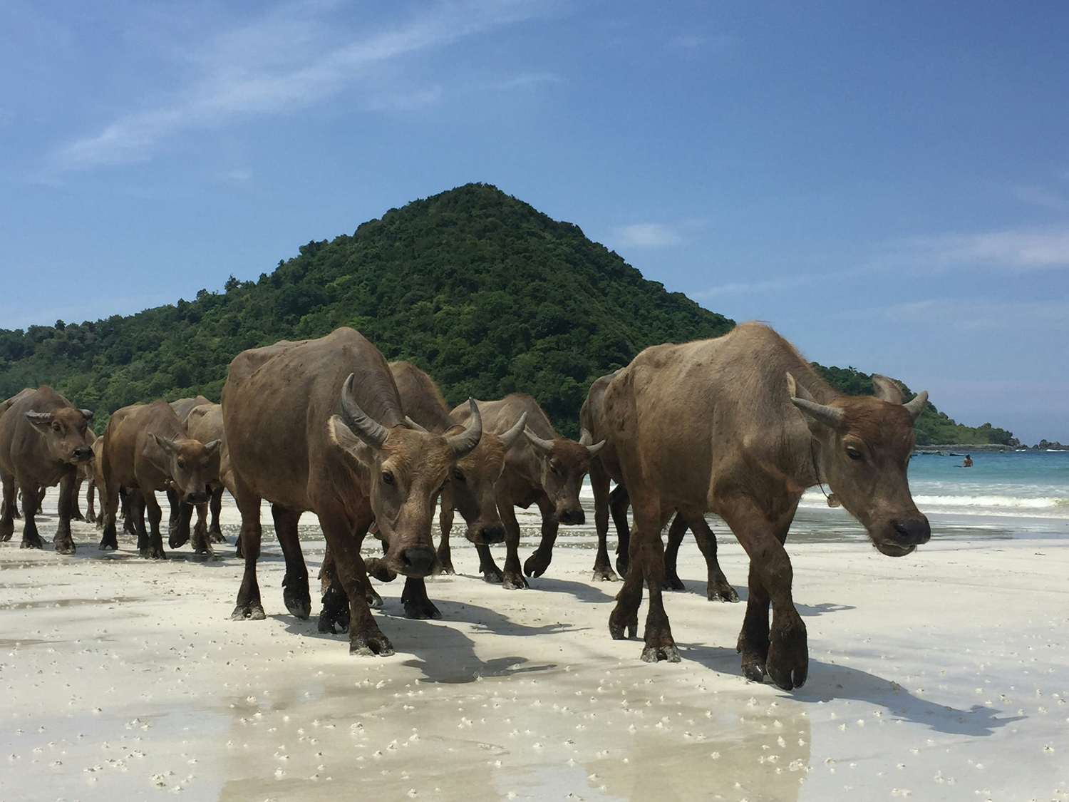 Day 3 - Gilli and Pink Beach 