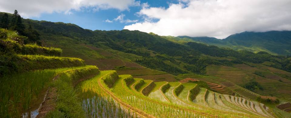 The stunning green rice terraces of Longsheng known as the Dragon's Backbone