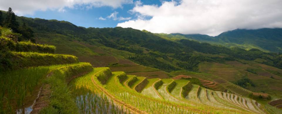 Longsheng Highlight