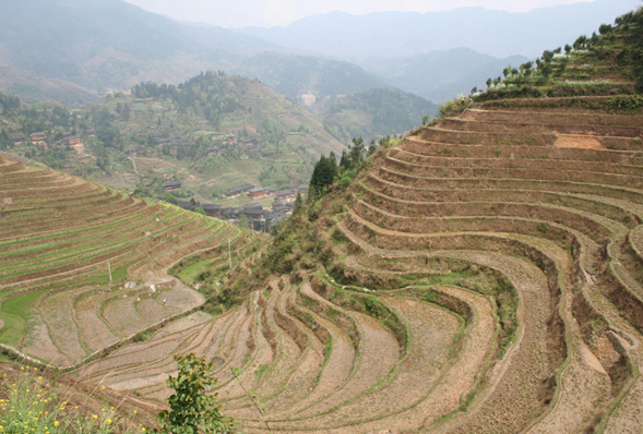 Rice fields in Longsheng known as the 'Dragons Backbone'