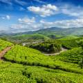 Rolling hills and tea gardens of Munnar