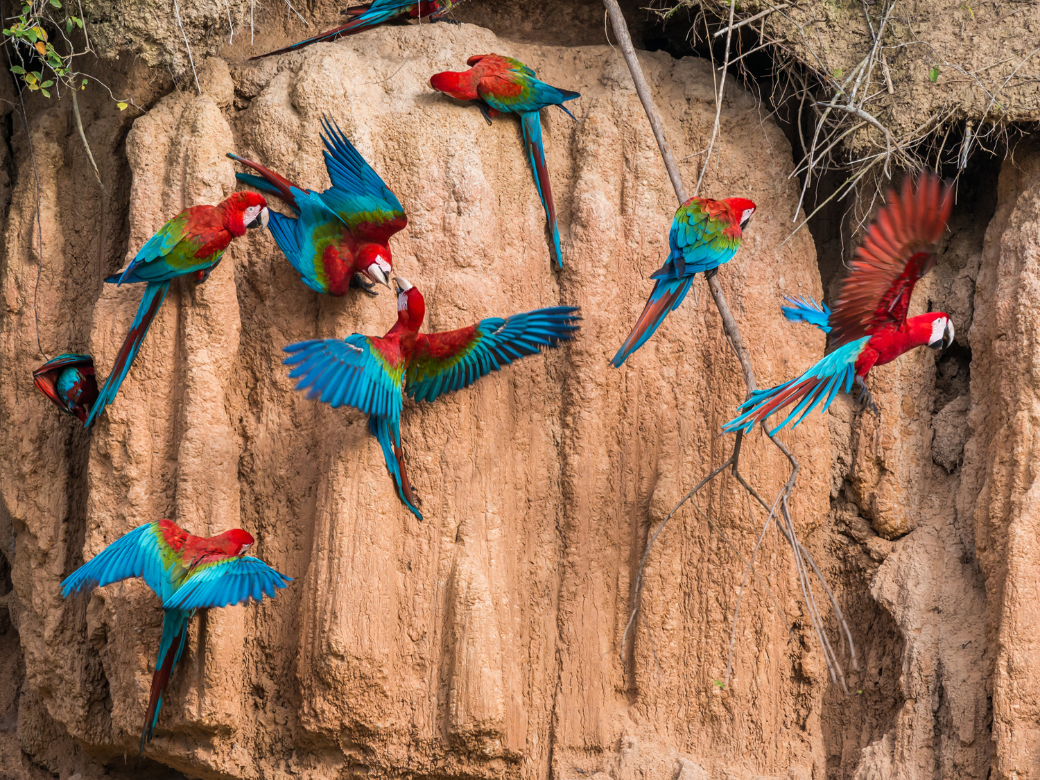 Day 5 - Amazon & on to Cusco