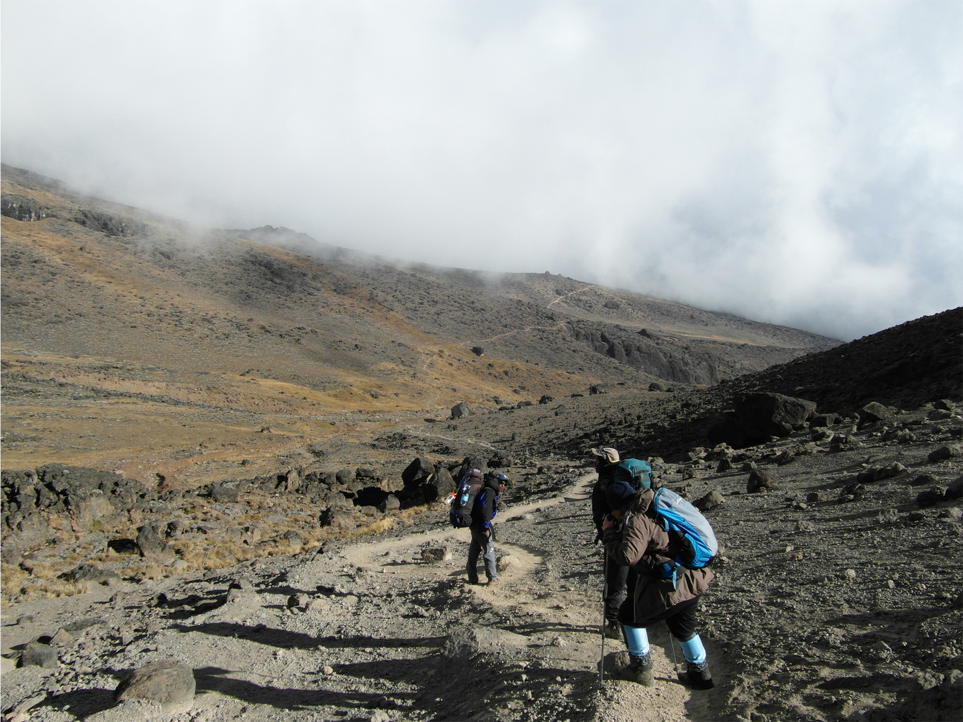 Day 4 - Trek to Mawenzi Tarn Camp (4330m)