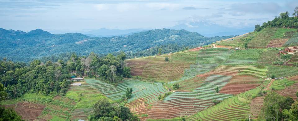 Impressive views of the terraces that characterise the district of Mae Rim in northern Thailand