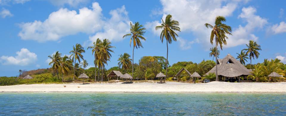 Palm trees fringing the white sand and turquoise water of Mafia Island
