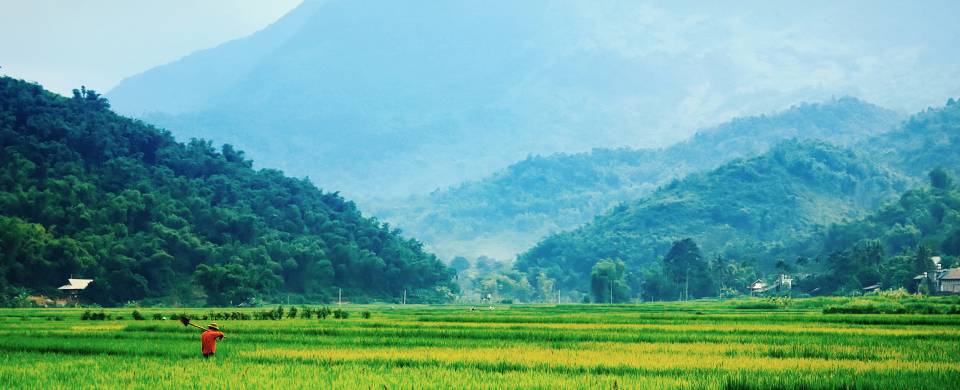 Lush green scenery stretching out to meet towering mountains in Mai Chau