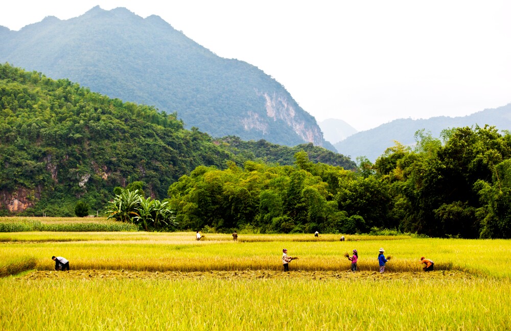 Day 3 - Hoa Binh