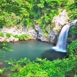 Mt. Hallasan National Park | South Korea