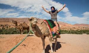 Man on a camel - Morocco Tours - On The Go Tours