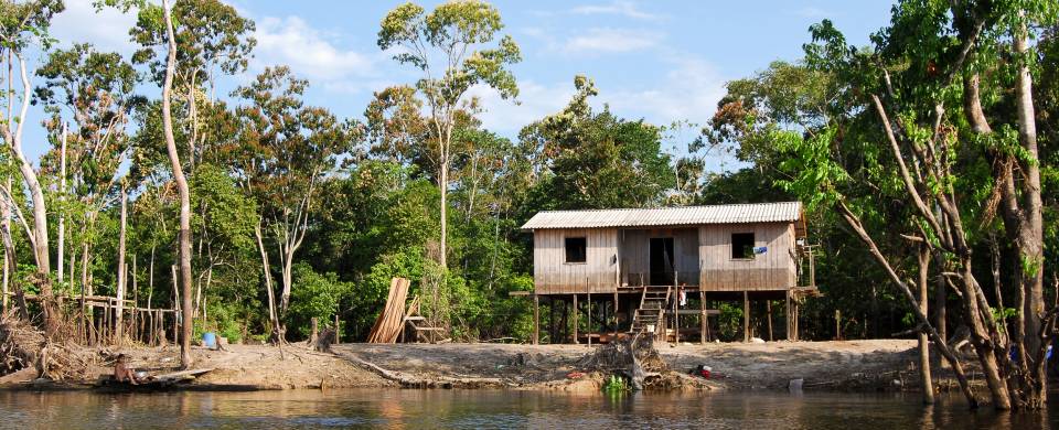 Wooden hut sitting on stilts at the side of the river in Manaus