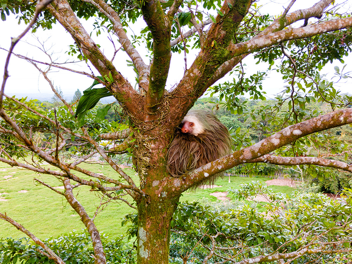 Day 11 - Manuel Antonio National Park