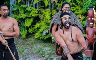 Maori resized