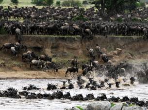 Mara River - Kenya - Africa Safaris - On The Go Tours