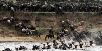 Mara River - Kenya - Africa Safaris - On The Go Tours