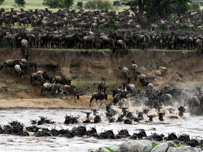 Mara River - Kenya - Africa Safaris - On The Go Tours