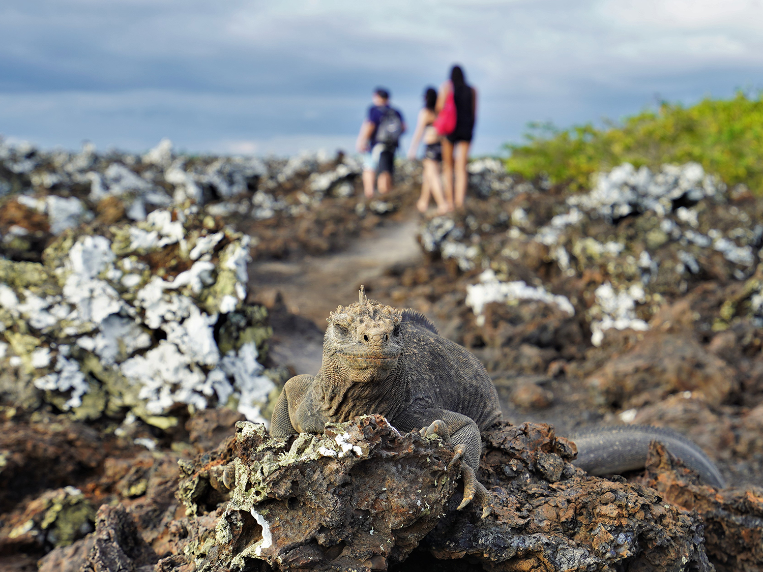 Galapagos Islands Family Adventure - 7 days