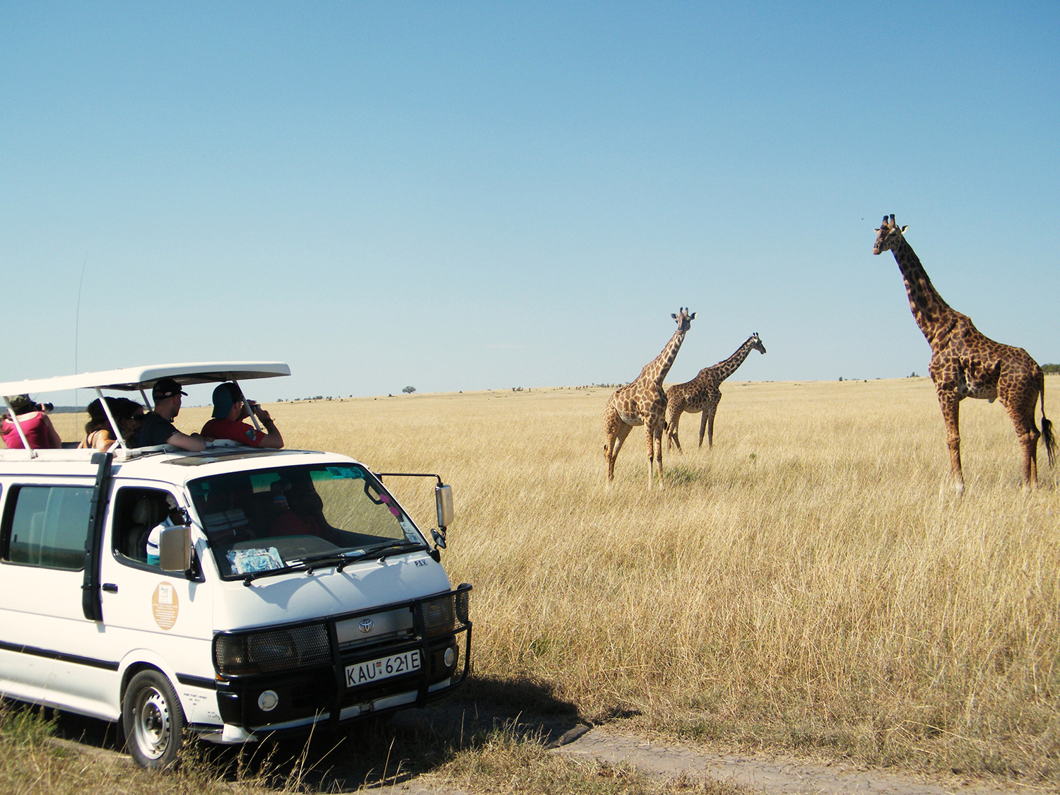 Day 17 - Masai Mara