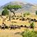 Masai Mara landscape with animals - Kenya safaris - On The Go Tours