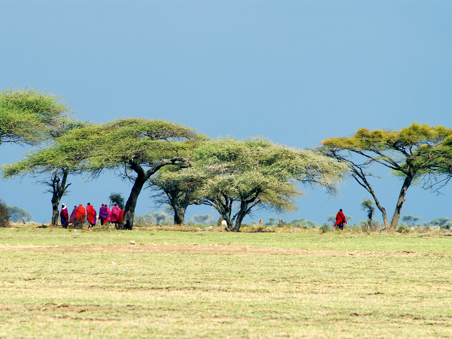 Highlights of Kenya - 11 days
