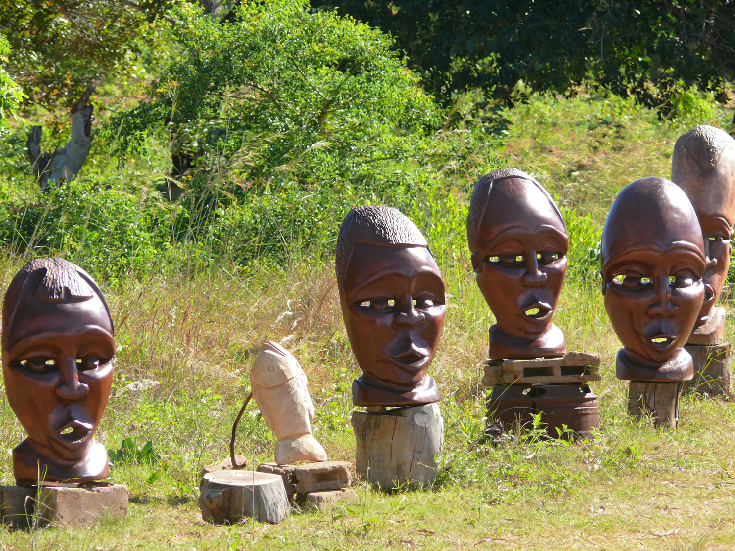 Day 6 - Into Mozambique 