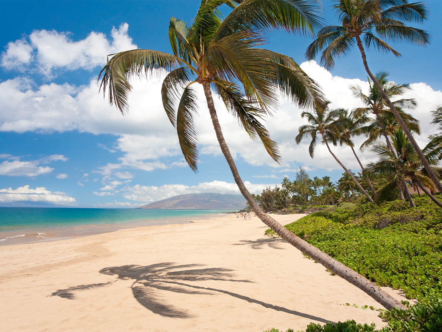 Maui & Hawaii Discovery - 10 days 
