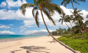 Maui - Hawaii - USA