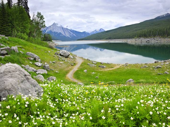 Medicine Lake in Jasper National Park - Canada - North America Tours - On The Go Tours