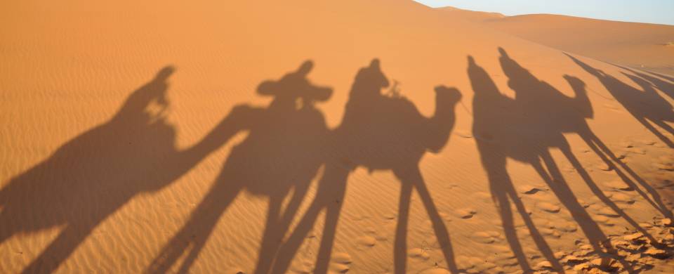 Shadows of camels on the sand in Merzouga