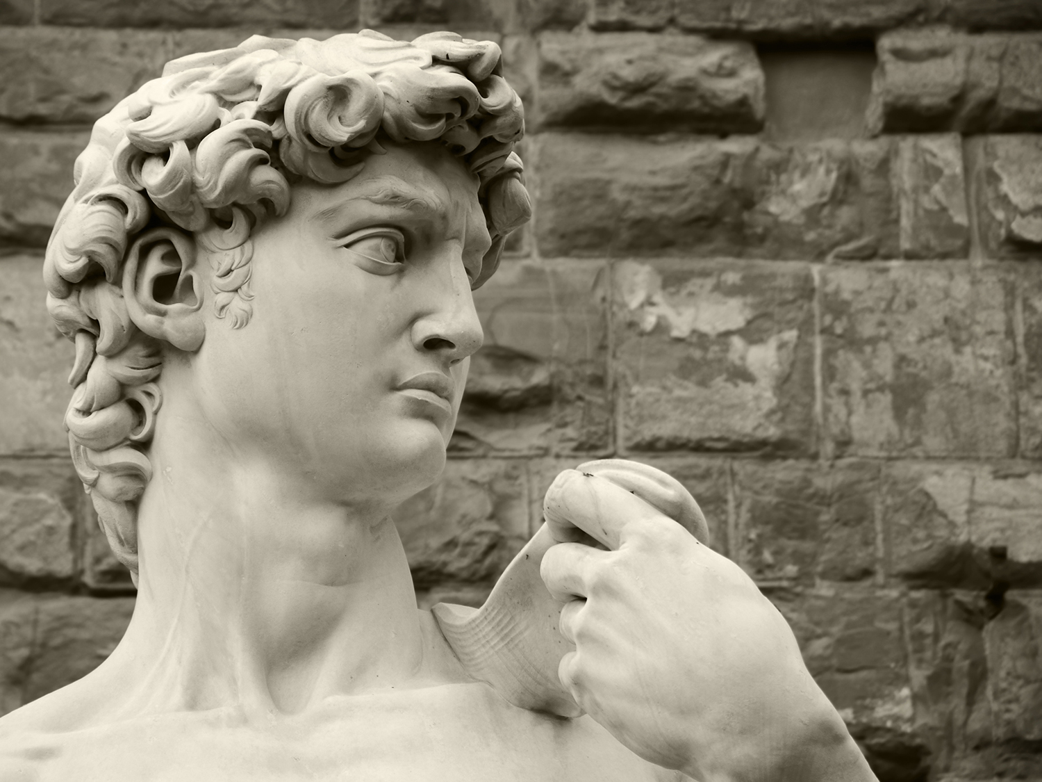 a close up of Michelangelo's David