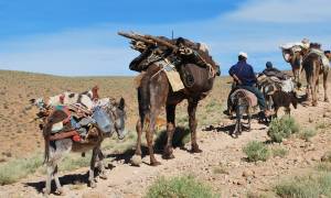 Migration-Of-The-Berbers-Itinerary-Main-Trekking-Adventures-Morocco