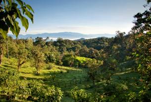 Mindo in Ecuador - South America - On The Go Tours